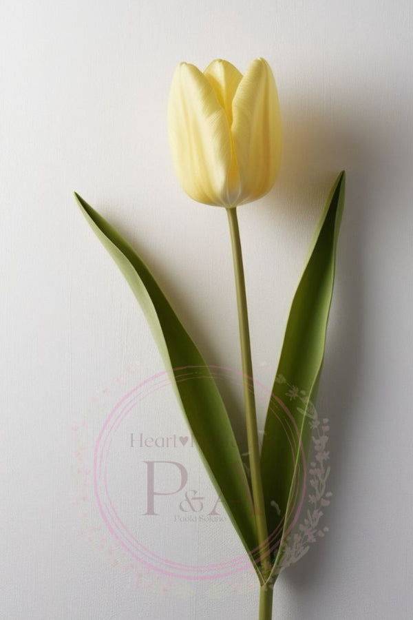 Artistic composition of three tulips in soft tones and a neutral background.