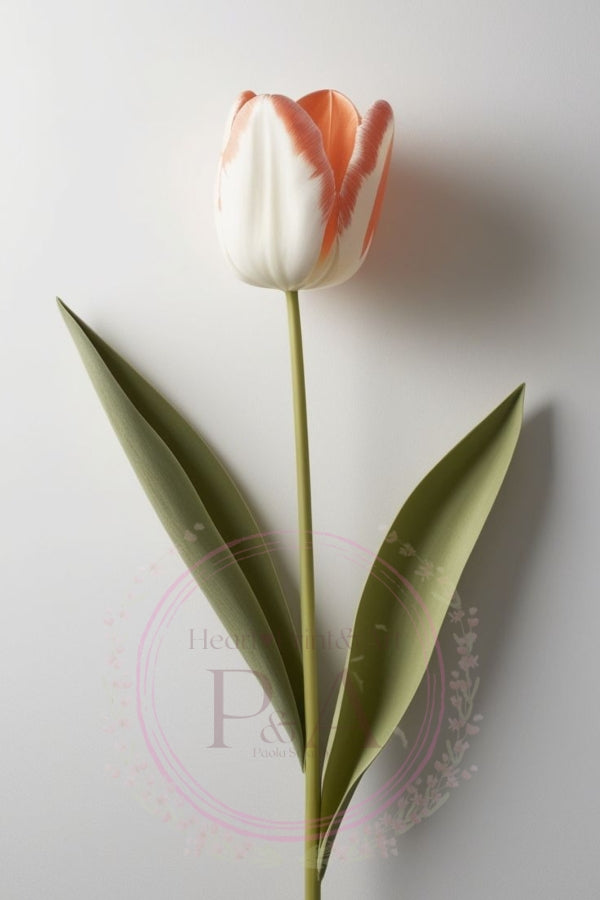 Artistic composition of three tulips in soft tones and a neutral background.